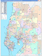 Tampa-St Petersburg-Clearwater Metro Area Wall Map Color Cast Style